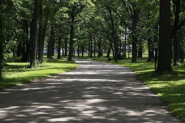 Max Brandon Park - Image 1