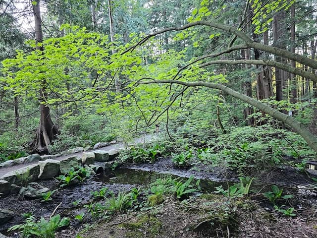 Hunter Park - Image 2