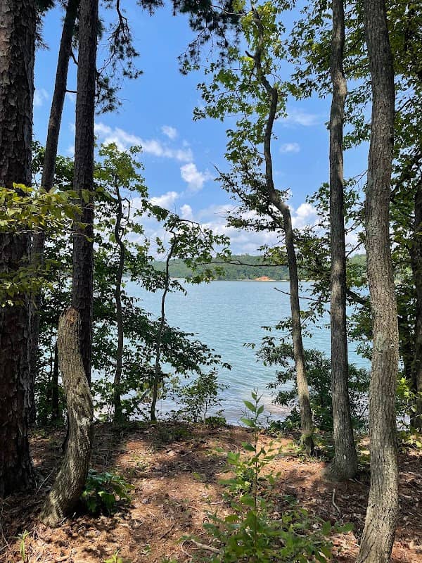Tugaloo island - Image 1