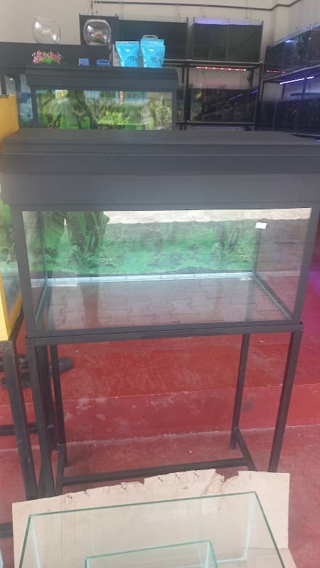 Ima aquarium - Image 1