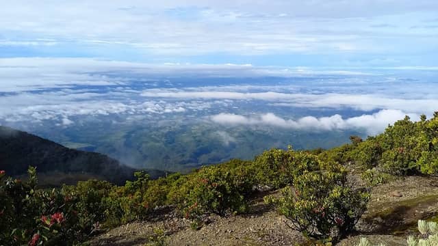 Gunung gede - Image 2