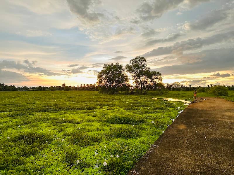 Sunset View Point ( സൺ സെറ്റ് വ്യൂ പോയന്റ് ) - Image 1