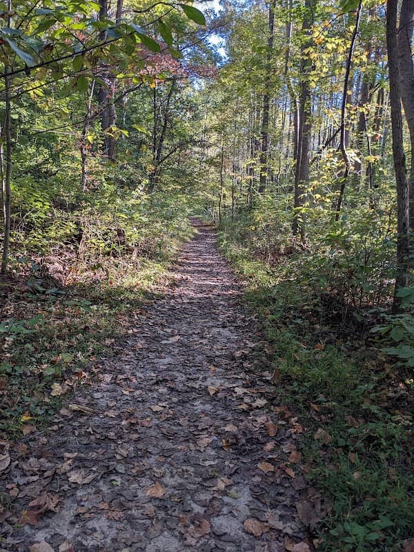 American Chestnut Land Trust South Side Trailhead - Image 1