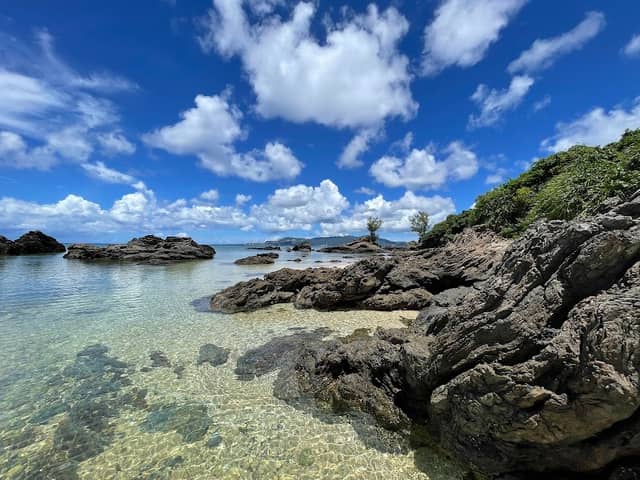 Koki Park North Beach - Image 1