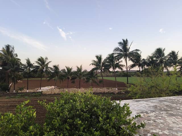 Mori farm - Image 1