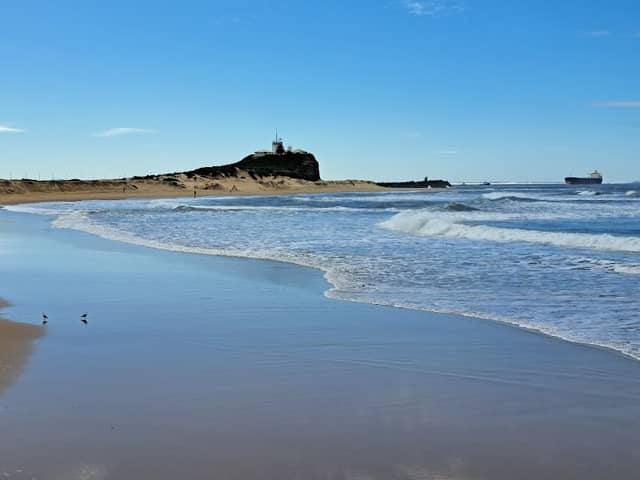 Foreshore Park - Image 2