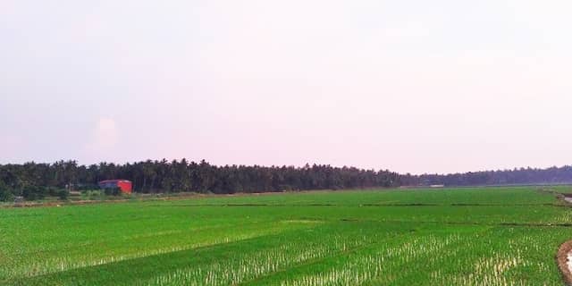 ജപ്ലാങ്കുസ് വ്യൂ പോയിൻ്റ് - Japlankus View Point - Image 1