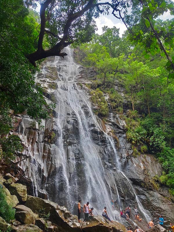 Bee Falls - Image 1