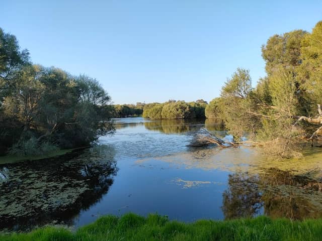 Horse Swamp - Image 1