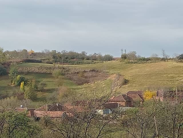 Dumbrăvița de Codru - Image 2