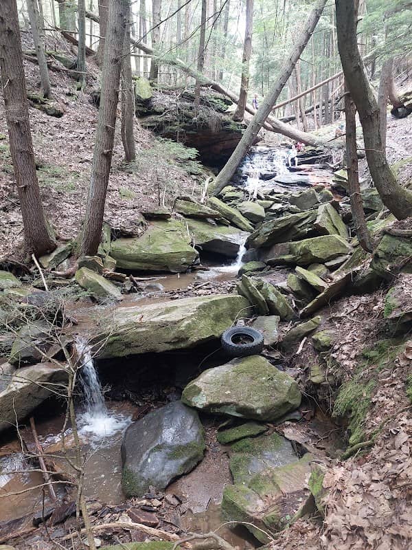 Mineral Springs Park - Image 1