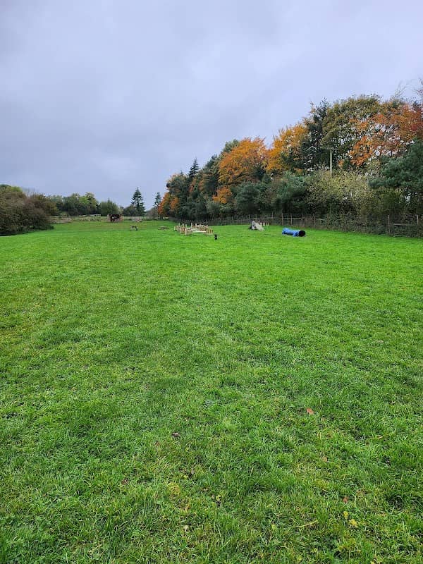 Sammy’s Field - Image 1