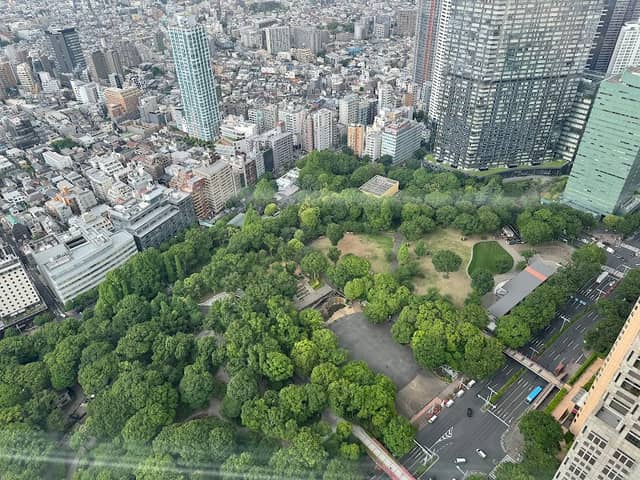 Shinjuku Central Park - Image 1