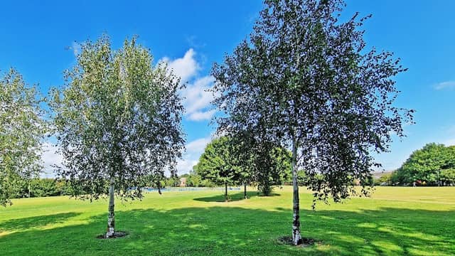 Dixon Park - Image 1