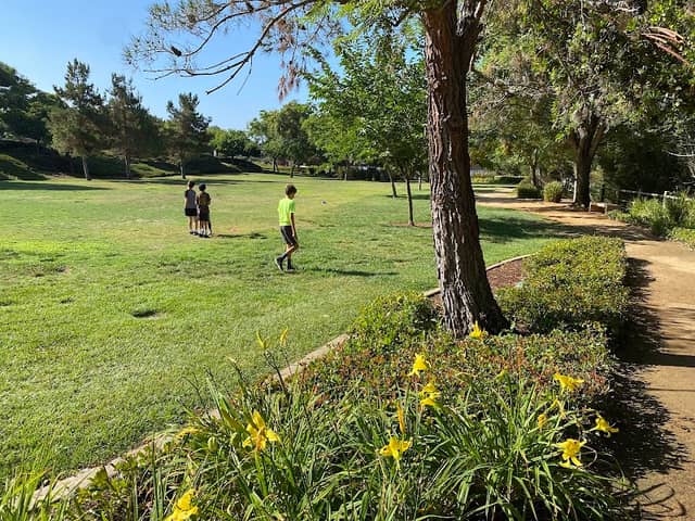 Mulberry Park - Image 1
