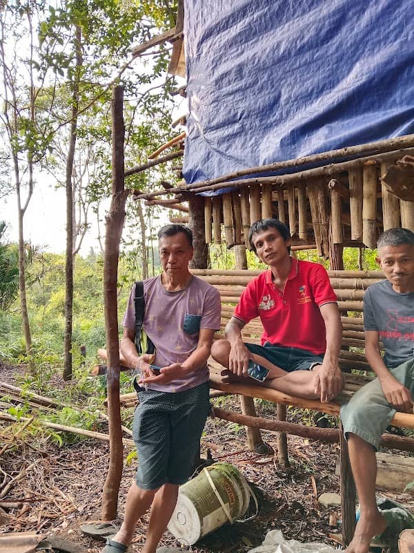 PONDOK PINANG la ode bundi - Image 2