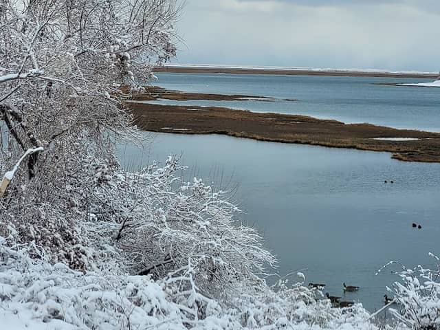 Al's Cove - Image 2