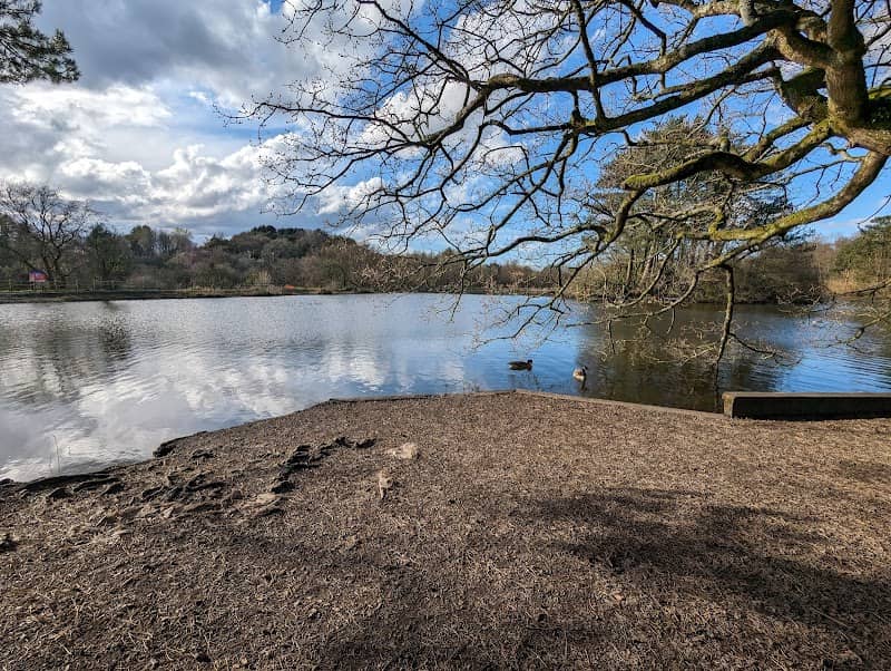 Clayton Brook Reservoir - Image 2
