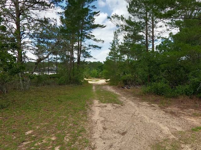 Wuesthoff Multi-use Wooded Bike/Walking Trail - Image 1