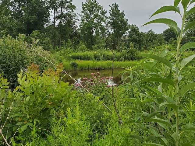 Lake Forest Open Lands Association - Image 2