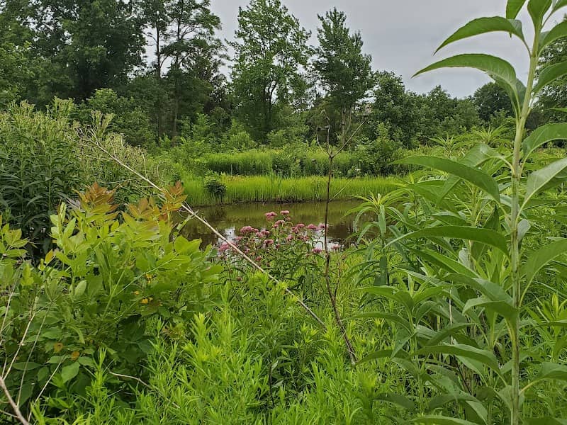Lake Forest Open Lands Association - Image 2