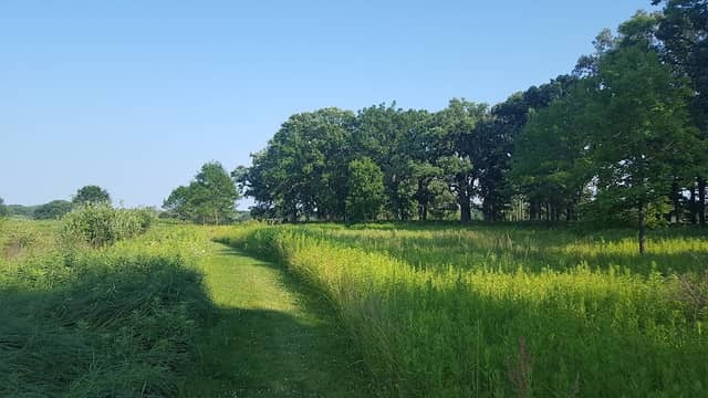 Lake Forest Open Lands Association - Image 3