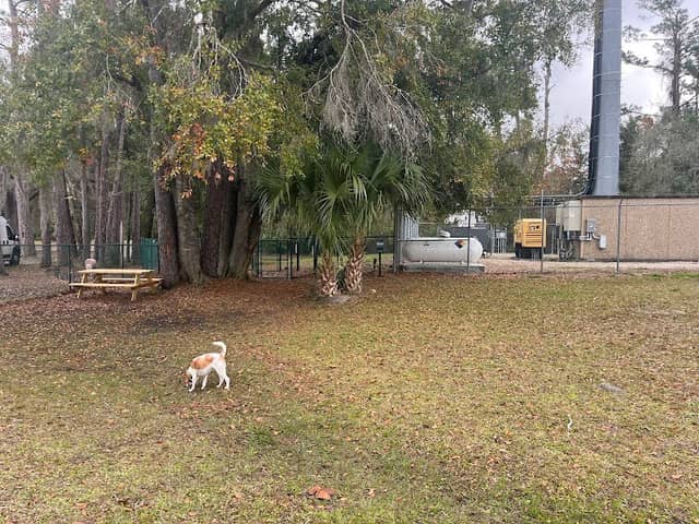 Angel's Dog Park - Image 1