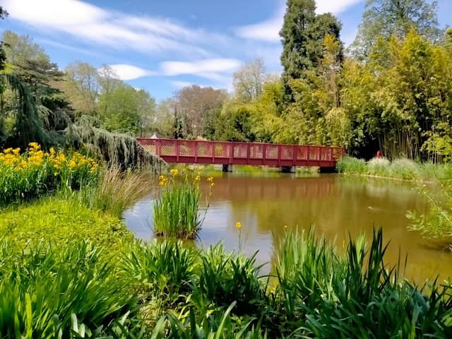 Botanical Garden of the Capellans - Image 1