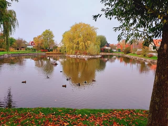 Gadekæret - Image 2