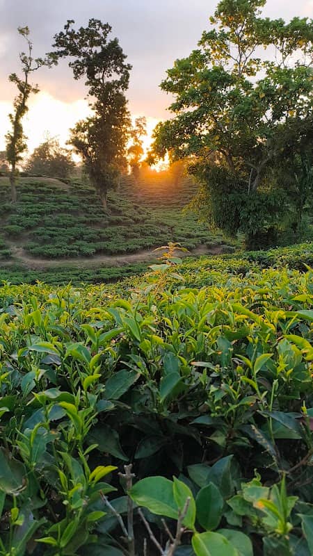 Chantail Eco park - Image 1