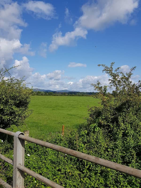 Hill Court Farm & The Blacklands - Image 2
