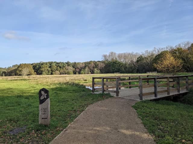 Bramshot Farm Country Park - Image 2