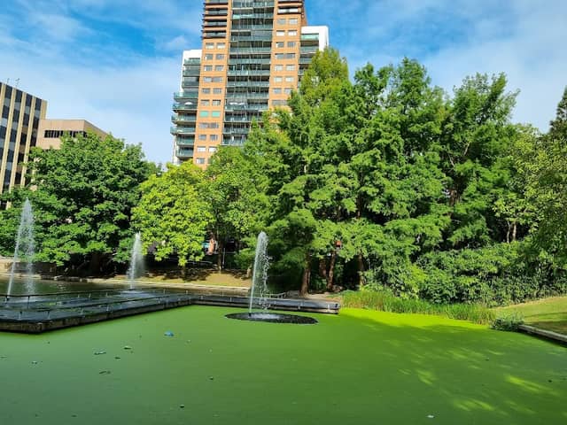Stadstuin - Image 1