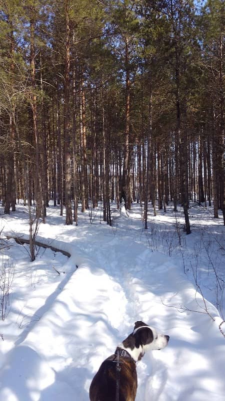 Cottonwood Park - Image 3
