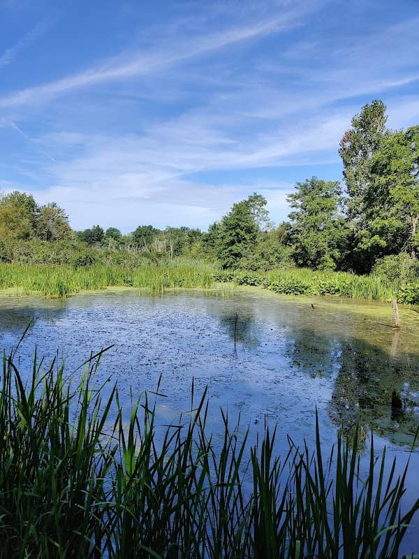 Oxbow Trail, Columbia Reservation - Lorain County Metro Parks - Image 2