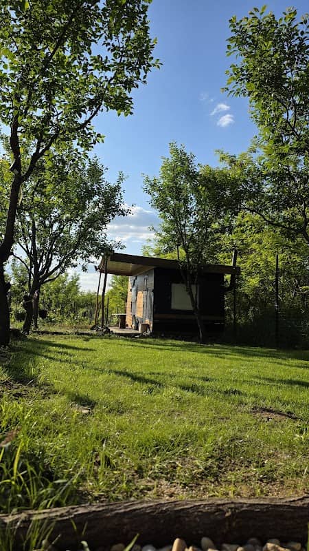 La Dragoș Glamping - Image 2