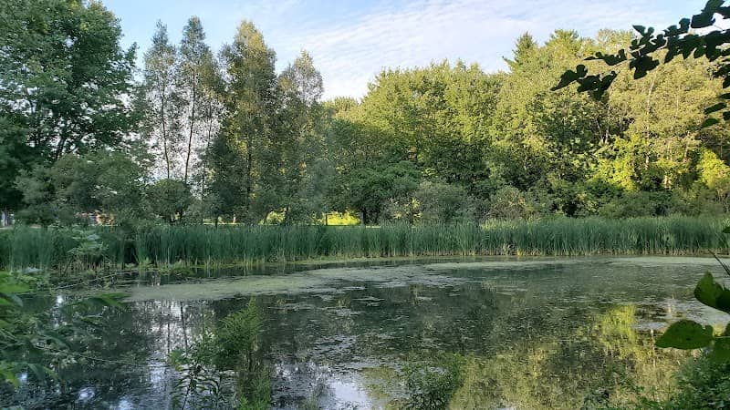Lions Park - Image 1