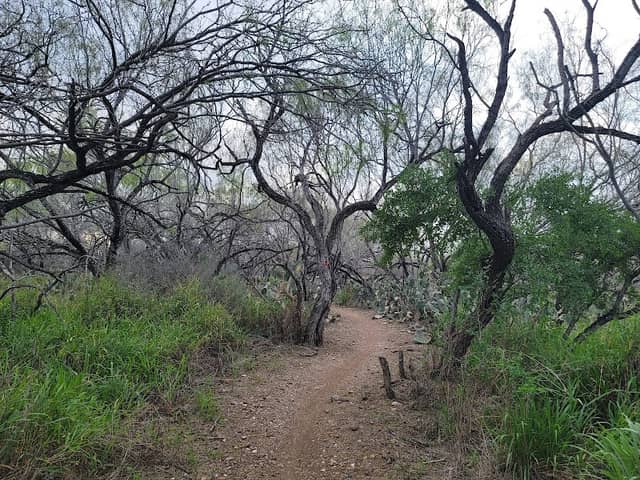 City Of Mission Hike and Bike Trail Park Entrance - Image 1