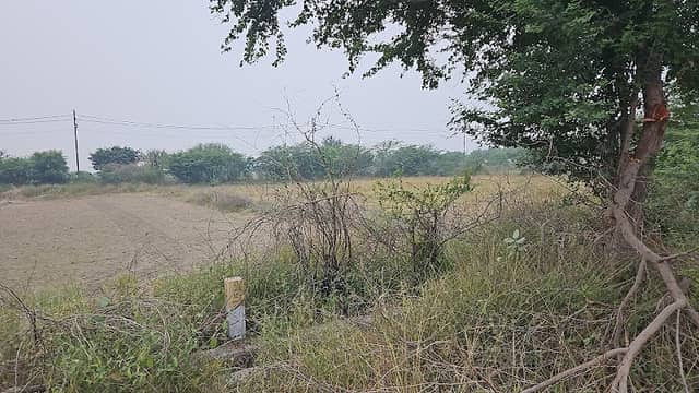 50m wide greenbelt #A - Image 1