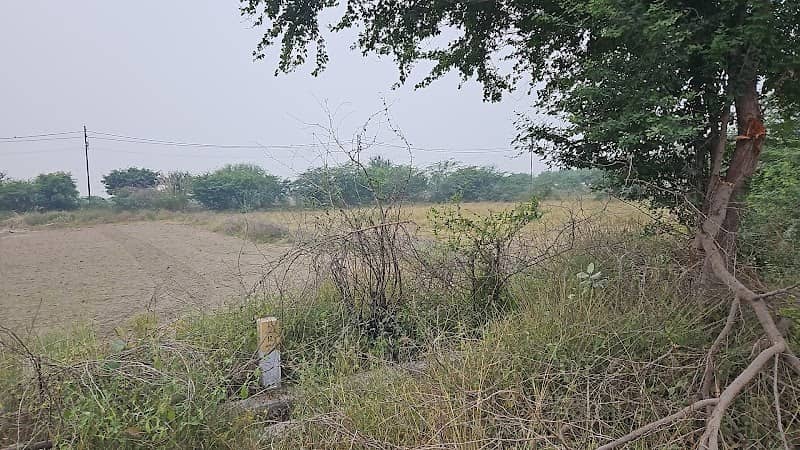 50m wide greenbelt #A - Image 1