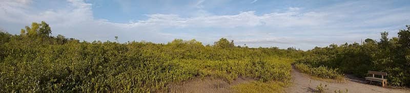 Yellow Trail - Image 1
