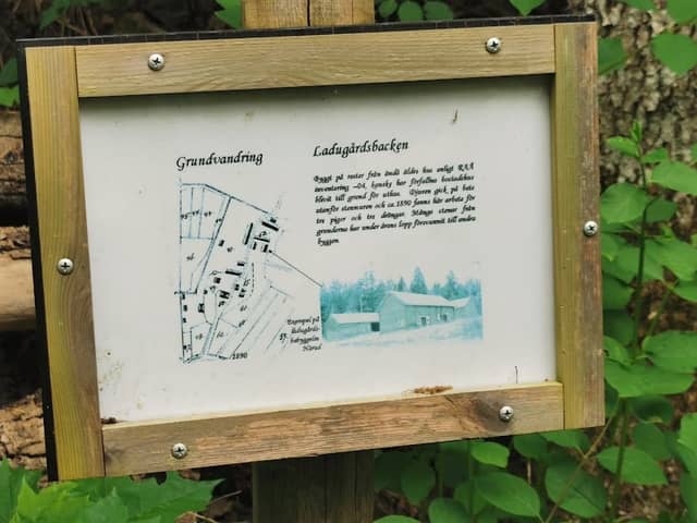 Gorsingelund (Natura 2000 area) - Image 1