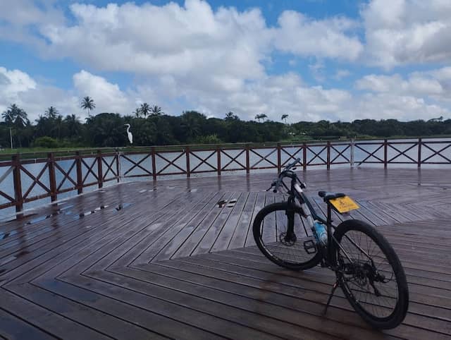 Pier da Lagoa de Messejana - Image 1