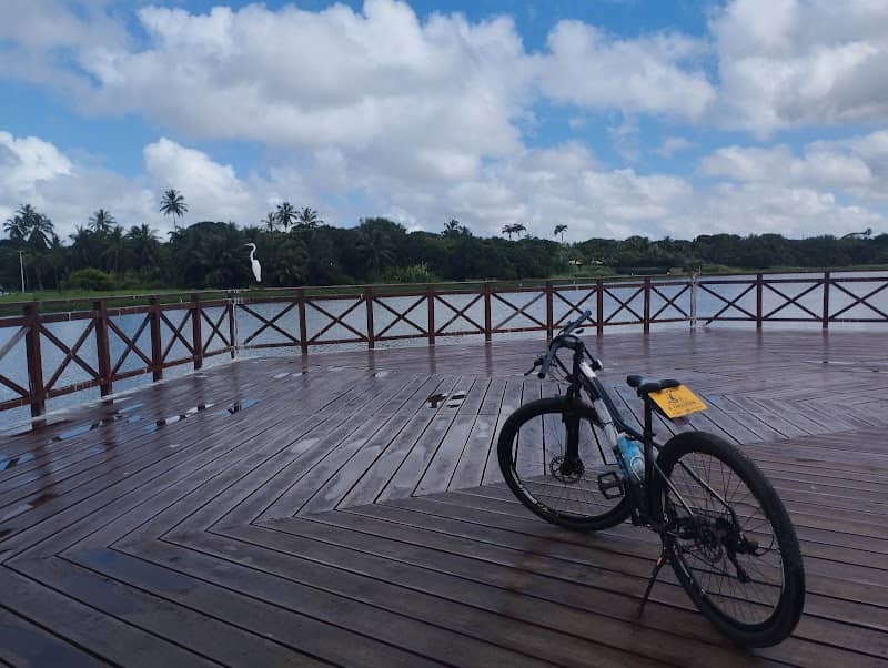 Pier da Lagoa de Messejana - Image 1
