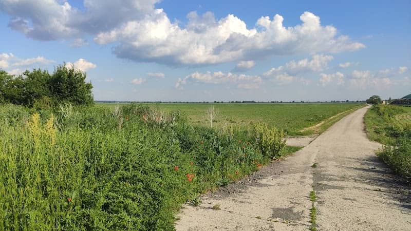 Košúty a Sládkovičovo Družstevná cyklo cesta - Image 1