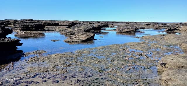 Paseo costero - Image 1