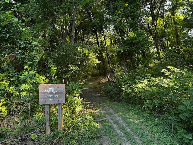 Tenmile Creek Preserve - Image 2