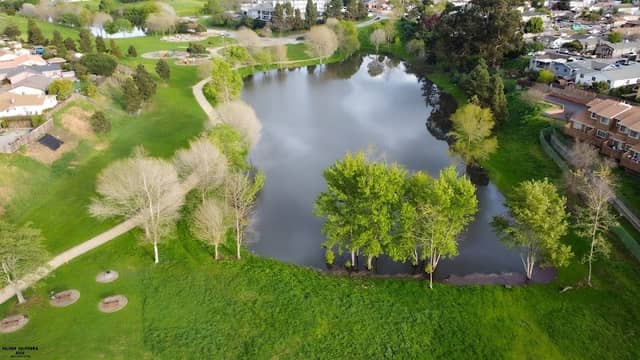 Cesar Chavez Community Park - Image 3