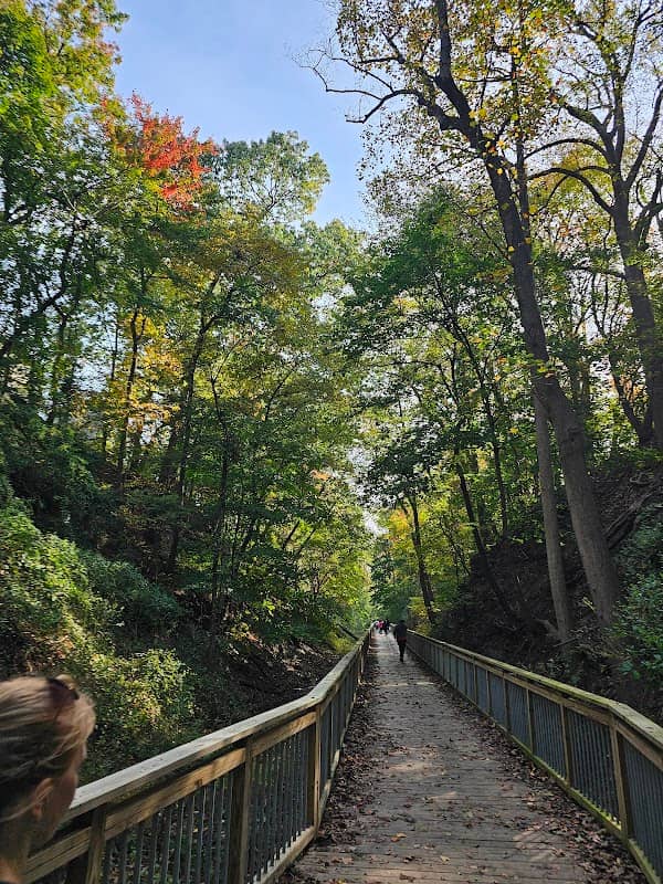 Watkins Park - Image 3