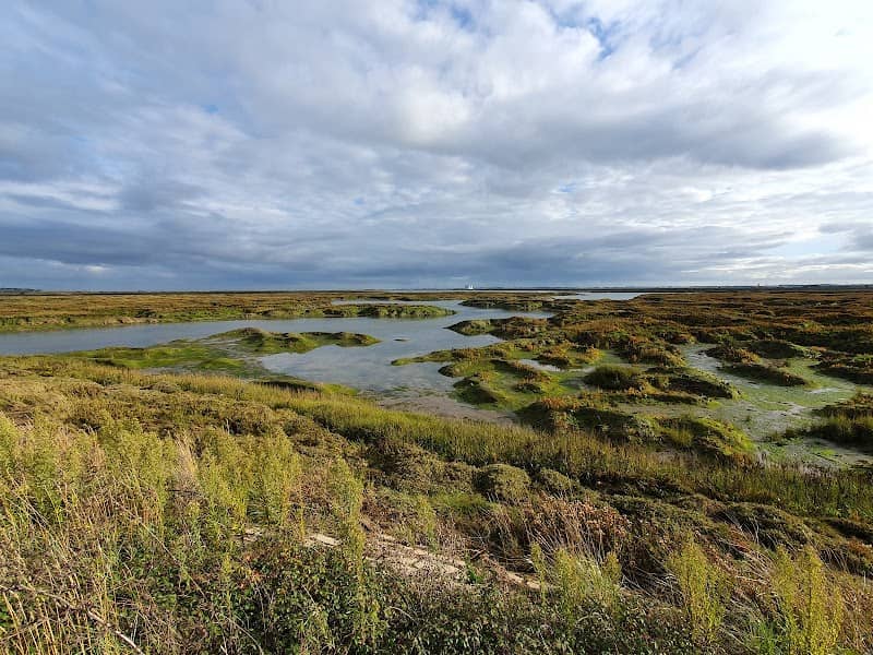 Joyce’s Saltings - Image 1
